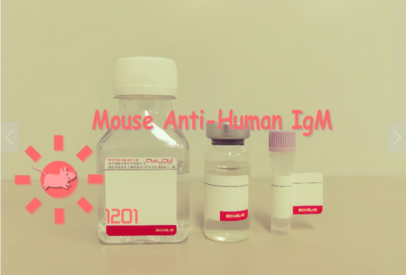 小鼠抗人IgM(μ鏈特異性)/Monoclonal Mouse Anti-Human IgM (μ-chain specific)